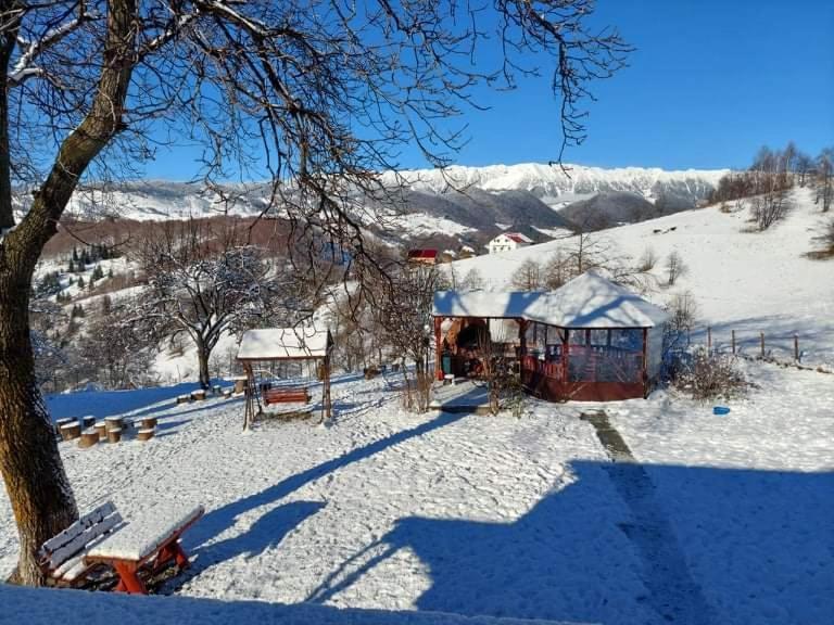 Nona Highland Home Moieciu de Jos Exterior foto